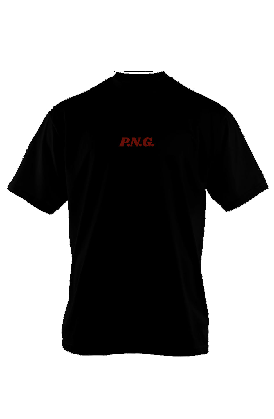 PNG Defined Oversized Heavyweight T Shirt