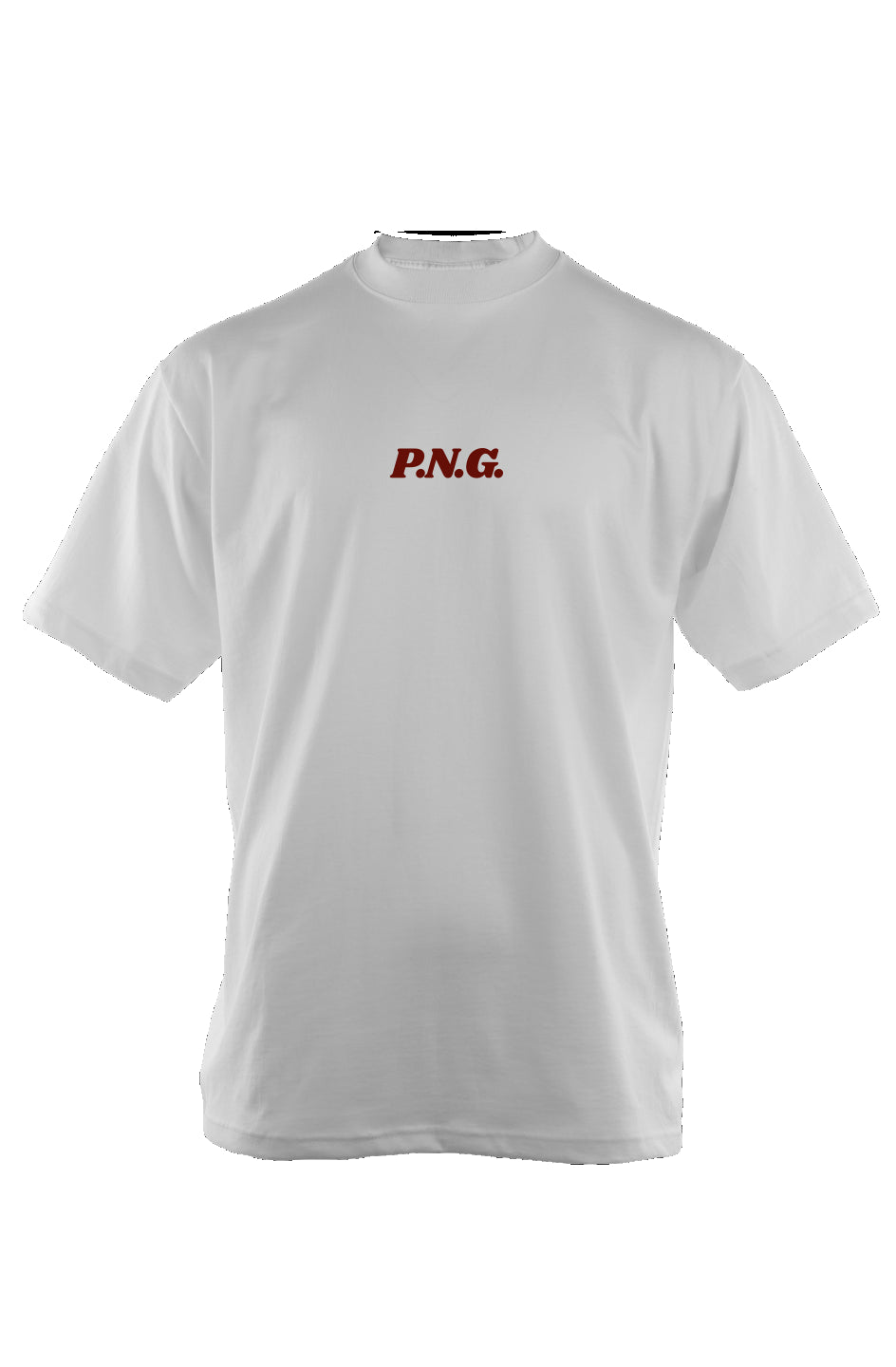 PNG Defined Oversized Heavyweight T Shirt