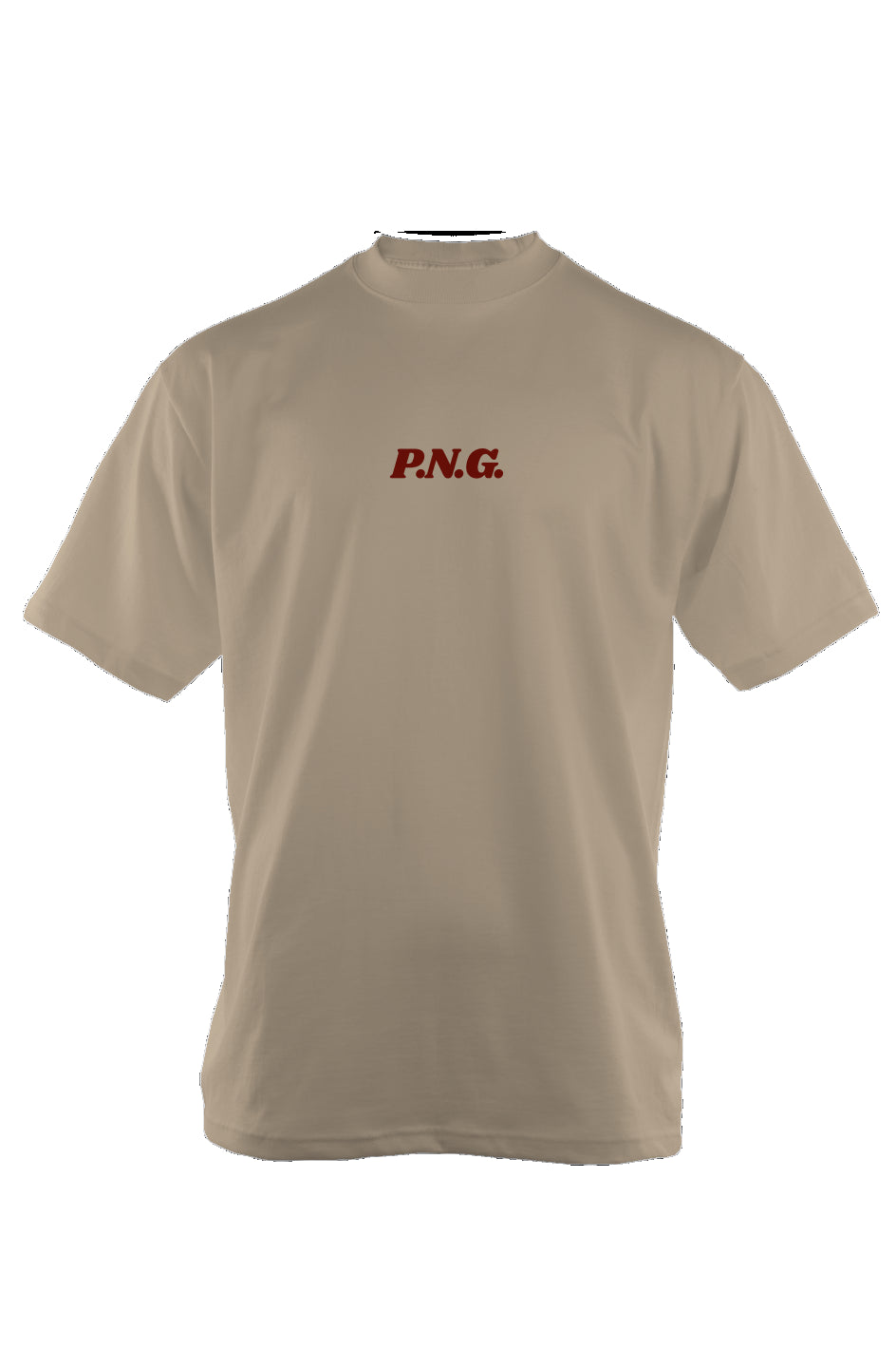 PNG Defined Oversized Heavyweight T Shirt